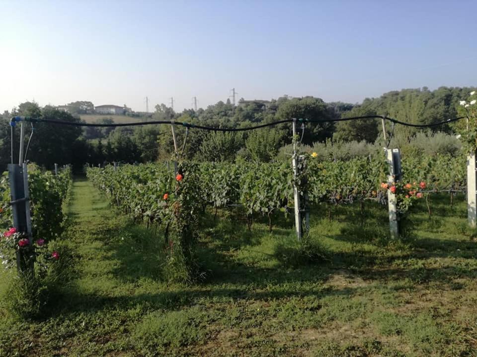 Il Casale Di Lucullo Vila Lucignano Exterior foto