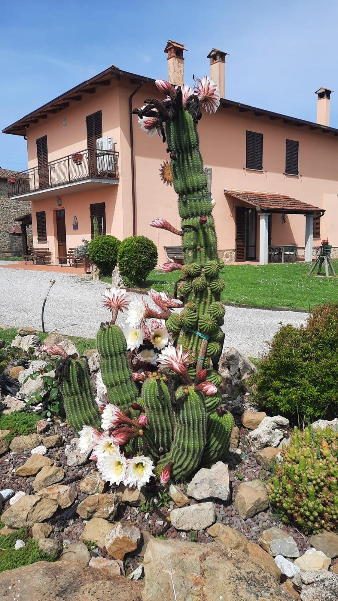Il Casale Di Lucullo Vila Lucignano Exterior foto